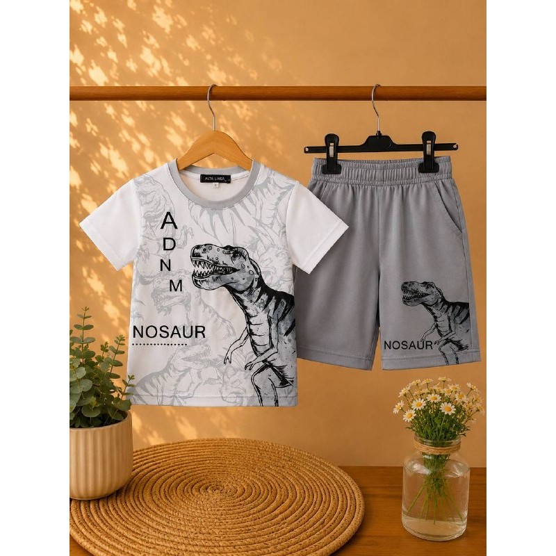 conjunto dinosaur